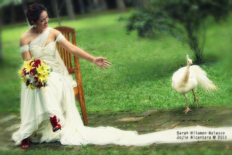 Sarah Velasco and a peacock who dropped by on her wedding